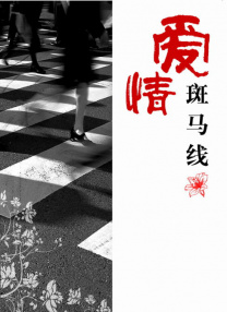 久久久久久久综合狠狠综合